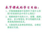 小學(xué)二年級上冊美術(shù)課件-第14課茂密的花-人美版(22張)ppt課件