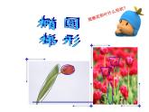 小學(xué)二年級上冊美術(shù)課件-第14課茂密的花-人美版(22張)ppt課件