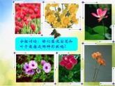 小學(xué)美術(shù)《第14課-茂密的花》-(2)課件
