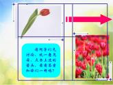 小學(xué)美術(shù)《第14課-茂密的花》-(2)課件