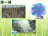 小學(xué)美術(shù)課件《風(fēng)來了》