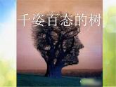 嶺南版美術 四年級上冊第四單元《千姿百態(tài)的樹》課件