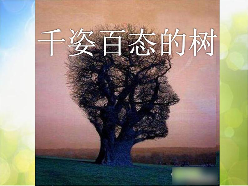 岭南版美术 四年级上册第四单元《千姿百态的树》课件第2页