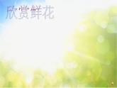 小學(xué)美術(shù)《6花團(tuán)錦簇》-(2)課件