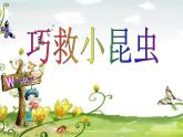 小學(xué)二年級上冊美術(shù)課件-2.5巧救小昆蟲-嶺南版(15張)ppt課件