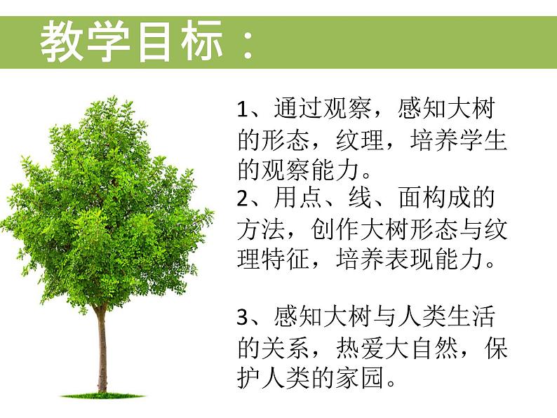 小学二年级上册美术课件-3.8给树爷爷画像-岭南版(13张)ppt课件第5页