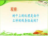 小學(xué)二年級上冊美術(shù)課件-3.8給樹爺爺畫像-嶺南版(16張)ppt課件