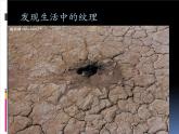 天然的纹理PPT课件免费下载