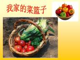 小學(xué)二年級(jí)上冊(cè)美術(shù)課件-3.9我家的菜籃子-嶺南版(25張)ppt課件