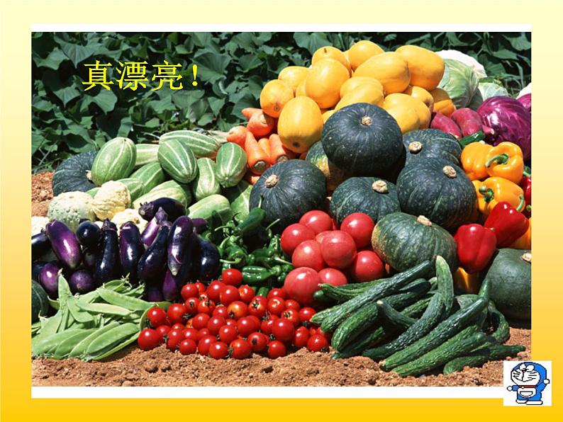 小学二年级上册美术课件-3.9我家的菜篮子-岭南版(25张)ppt课件第5页