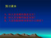 小學(xué)二年級上冊美術(shù)課件-5.13無敵孫大圣-嶺南版(18張)ppt課件
