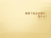 小學(xué)二年級上冊美術(shù)課件-第3課捏泥巴-人美版(13張)ppt課件