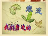 小學(xué)二年級上冊美術(shù)課件-第9課我們身邊的痕跡-人美版(18張)ppt課件