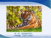小學(xué)二年級上冊美術(shù)課件-第17課動物樂園-人美版(17張)(1)ppt課件