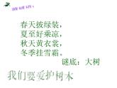小學(xué)二年級上冊美術(shù)課件-第15課大樹的故事-人美版(12張)ppt課件