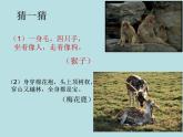 小學(xué)二年級上冊美術(shù)課件-第17課動物樂園-人美版(15張)ppt課件