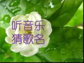 小學(xué)二年級上冊美術(shù)課件-第14課茂密的花-人美版(23張)ppt課件