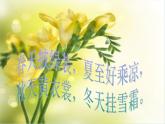 小學(xué)二年級上冊美術(shù)課件-第15課大樹的故事-人美版(10張)ppt課件