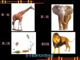 小學(xué)二年級上冊美術(shù)課件-第17課動物樂園-人美版(13張)ppt課件