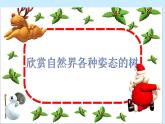 小學(xué)二年級上冊美術(shù)課件-第15課大樹的故事-人美版(17張)ppt課件