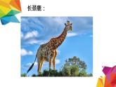 小學(xué)二年級(jí)上冊(cè)美術(shù)課件-第17課動(dòng)物樂(lè)園-人美版(18張)ppt課件