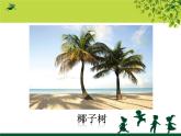 小學(xué)二年級上冊美術(shù)課件-第15課大樹的故事-人美版(12張)ppt課件