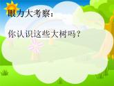 小學(xué)二年級上冊美術(shù)課件-第15課大樹的故事-人美版(18張)ppt課件
