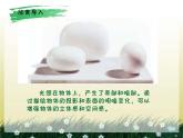 湘美版美術(shù)六上第2課《光影變幻》ppt課件
