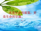 湘美版美術(shù)六上第9課《生命的甘露》ppt課件