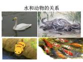 湘美版美術(shù)六上第9課《生命的甘露》ppt課件