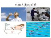 湘美版美術(shù)六上第9課《生命的甘露》ppt課件