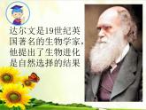 巧救小昆蟲PPT課件免費(fèi)下載