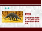 小學(xué)二年級上冊美術(shù)課件-2.4恐龍回來了-嶺南版(18張)(1)ppt課件