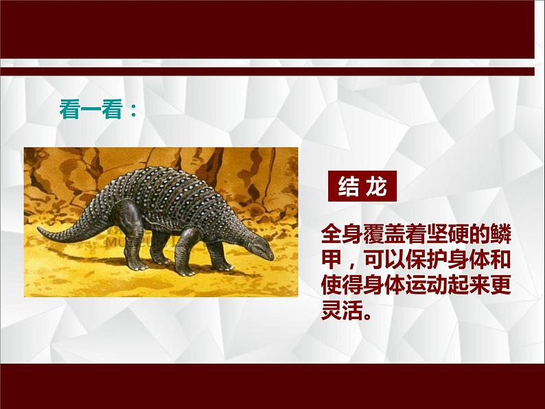 小学二年级上册美术课件-2.4恐龙回来了-岭南版(18张)(1)ppt课件第4页