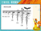 人教版美术一年级下册第二课：长呀长 PPT课件+教案+素材