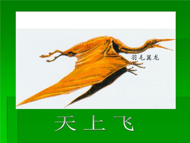 小学二年级上册美术课件-2.4恐龙回来了-岭南版(24张)第4页