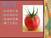 小學(xué)二年級(jí)上冊(cè)美術(shù)課件-3.9我家的菜籃子-嶺南版(17張)