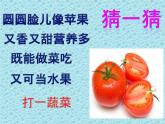 小學(xué)二年級(jí)上冊(cè)美術(shù)課件-3.9我家的菜籃子-嶺南版(13張)