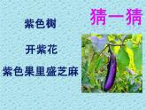 小學(xué)二年級(jí)上冊(cè)美術(shù)課件-3.9我家的菜籃子-嶺南版(13張)