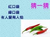 小學(xué)二年級(jí)上冊(cè)美術(shù)課件-3.9我家的菜籃子-嶺南版(13張)