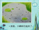 小學(xué)二年級上冊美術(shù)課件-10.小蝌蚪湘美版(2014秋)(25張)