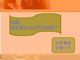 小學(xué)二年級(jí)上冊(cè)美術(shù)課件-第7課百變團(tuán)花-人美版(25張)ppt課件