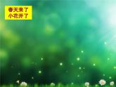 小學(xué)二年級上冊美術(shù)課件-第14課茂密的花-人美版(27張)