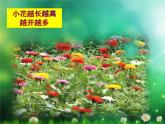 小學(xué)二年級上冊美術(shù)課件-第14課茂密的花-人美版(27張)