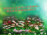 小學(xué)二年級上冊美術(shù)課件-第14課茂密的花-人美版(27張)
