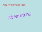 小學(xué)二年級上冊美術(shù)課件-第14課茂密的花-人美版(26張)