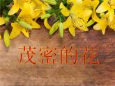 小學(xué)二年級上冊美術(shù)課件-第14課茂密的花-人美版(12張)