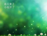 小学二年级上册美术课件-第14课茂密的花-人美版(20张)