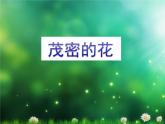 小学二年级上册美术课件-第14课茂密的花-人美版(20张)