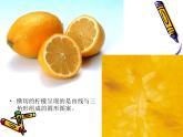 小學(xué)二年級下冊美術(shù)課件-3.7切開的果實(shí)-嶺南版(15張)ppt課件